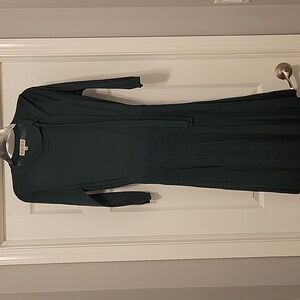 Nanette Leopard Women Metallic Knit Sweater Dress Green 3/4 Sleeve NWT Large